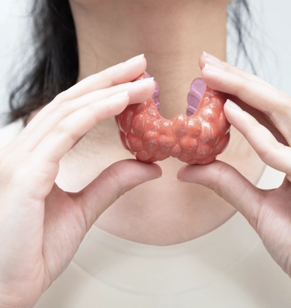 Treatment Of Thyroid Disorders