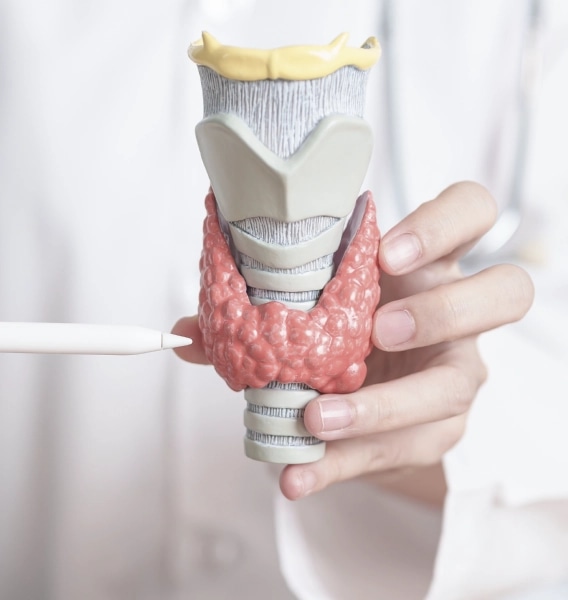 Treatment Of Salivary Gland Disorders
