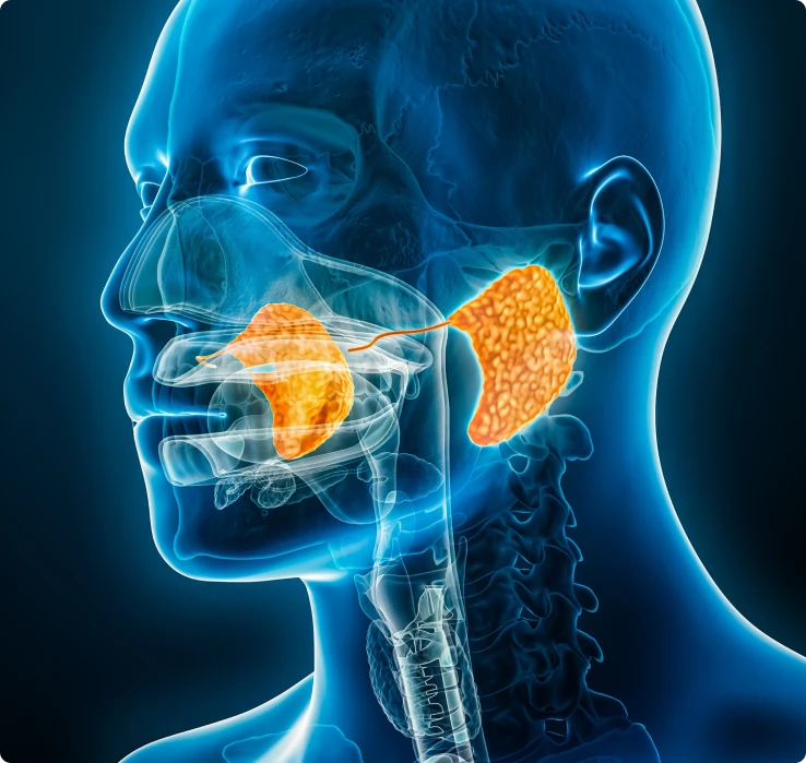 Common Symptoms to Look Out For